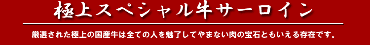 極上スペシャル牛サーロイン※厳選された極上の国産牛は全ての人を魅了してやまない肉の宝石ともいえる存在です。